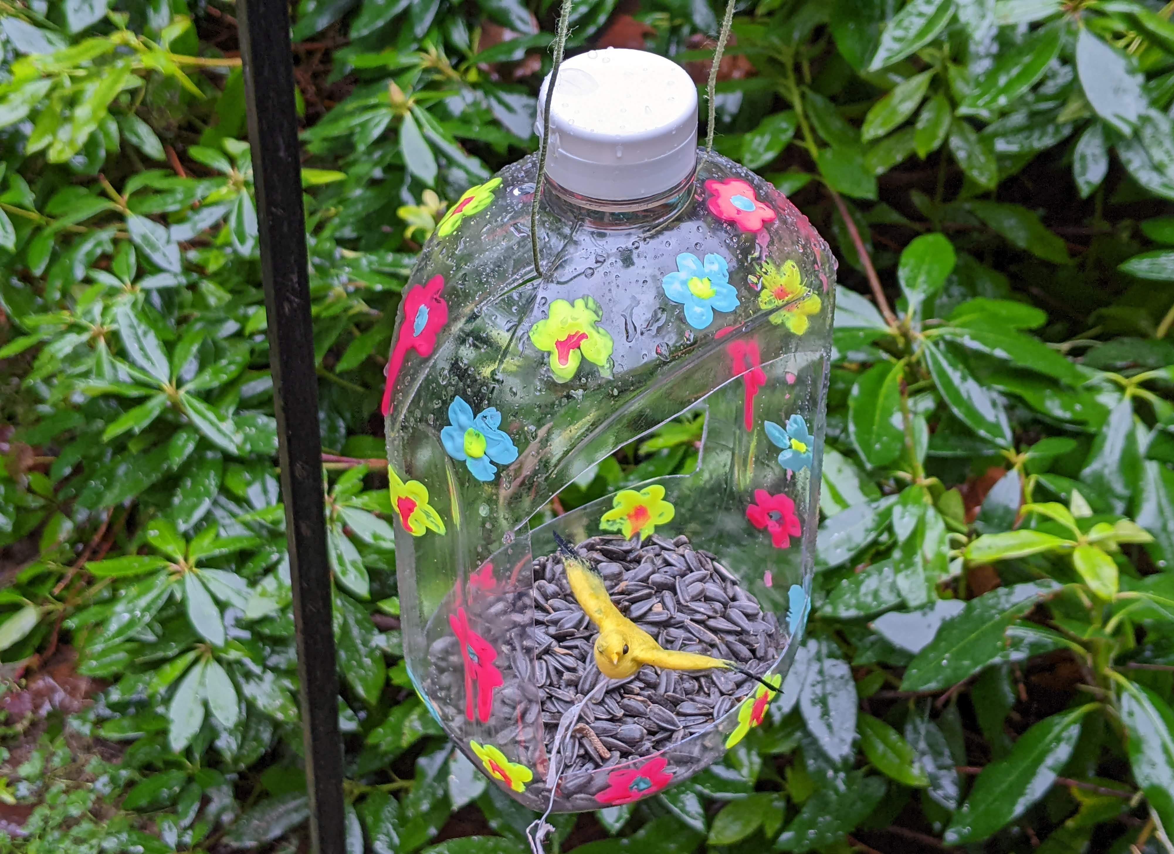 Diy Bird Feeders From Plastic Bottles